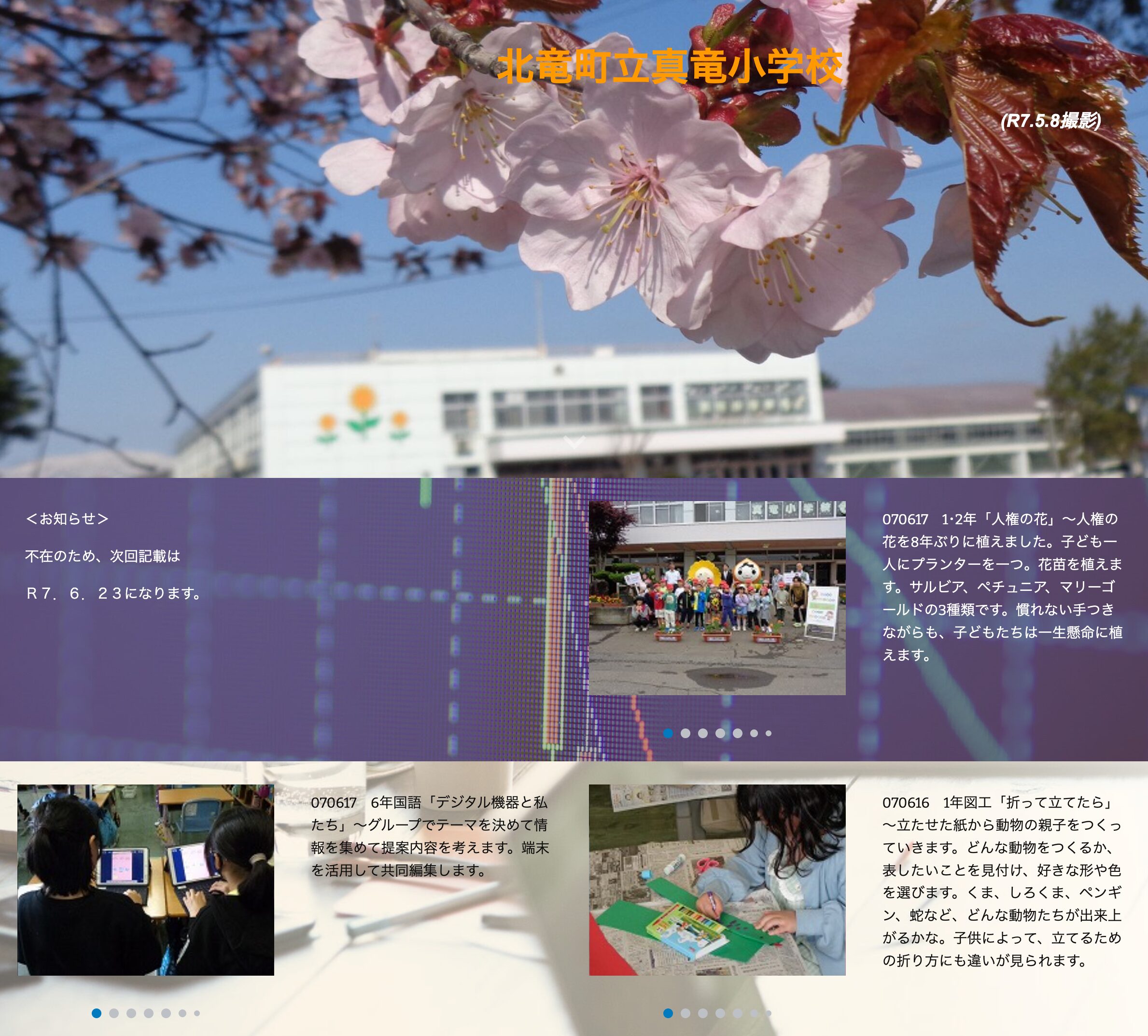 6月17日（火）1･2年「人権の花」～人権の花を8年ぶりに植えました。子ども一人にプランターを一つ。花苗を植えます【真竜小学校】