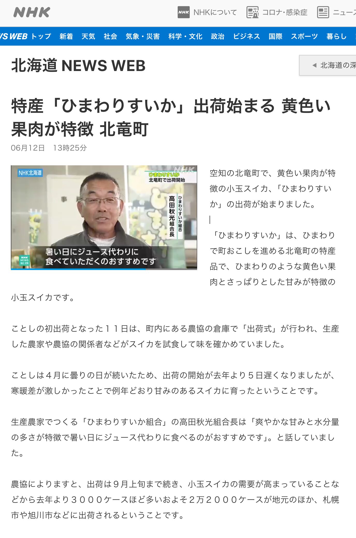 特産「ひまわりすいか」出荷始まる 黄色い果肉が特徴 北竜町【NHK北海道WEB】