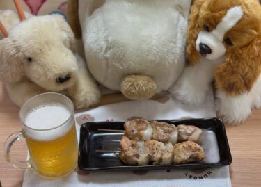 ☀️🌞 6月11日（水）はみちゃんのおつまみ：焼き鳥とビール 🍺 最高 😀 😀【kitchen晴晴】