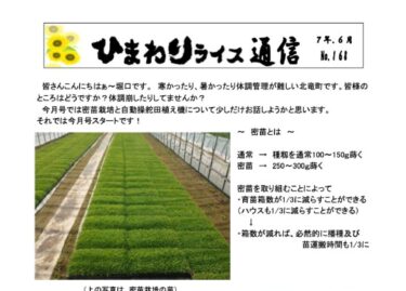 ひまわりライス通信 No.168・令和7年6月【ＪＡきたそらち北竜支所】