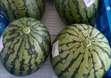 7月1日（火）暑い日が続いています。そんな時には西瓜 🍉 🍉 が一番良いかと思います。水分補給にも最適かと 😀 色々な西瓜が入っています。【みのりっち北竜】