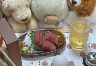 ☀️🌞 7月1日（火）はみちゃんのおつまみ：まぐろの刺身とハイボール【Kitchen晴晴】