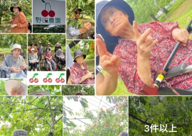 7月6日（日）Ａ棟：🍒 さくらんぼ狩り 🍒 昨日は気持ちのいいお天気の中、深川市の野田農園さんにさくらんぼ狩りに行ってきました 🚙【グループホーム碧水】
