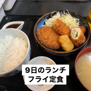 🌻 7月9日（水）今日の日替わりランチ：フライ定食でした ♪【お食事処向日葵】