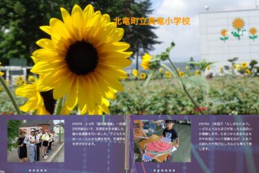 7月14日（月）2年図工「ふしぎなたまご」～どのようなたまごがあったら面白いか想像します。たまごから生まれるものやお話について想像を広げ、たまごの割れ方や飛び出し方なども考えて表します【真竜小学校】