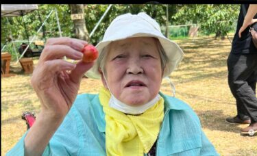 さくらんぼ狩りに行ってきました！今年も深川の瀬川農園さんにお邪魔させていただきました！【特別養護老人ホーム永楽園】