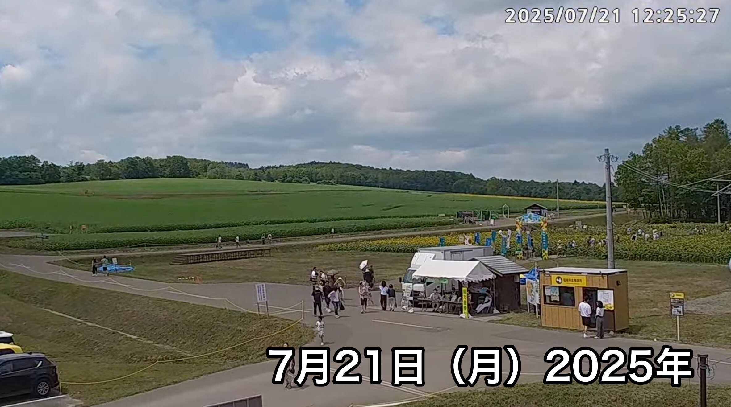 Live Streaming of Hokuryu-cho Sunflower Tourist Association
