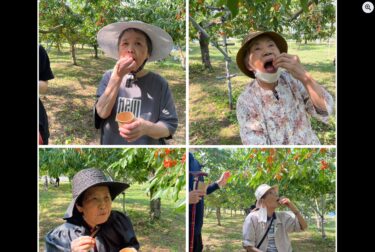 चेरी चुनना 🍒 हम नोनाई के शोजी फ़ार्म में चेरी चुनने गए थे! मौसम सुहावना था और सब कह रहे थे, "बहुत स्वादिष्ट है!" और खूब चेरी खा रहे थे 😆 [ग्रुप होम हेकिसुई]