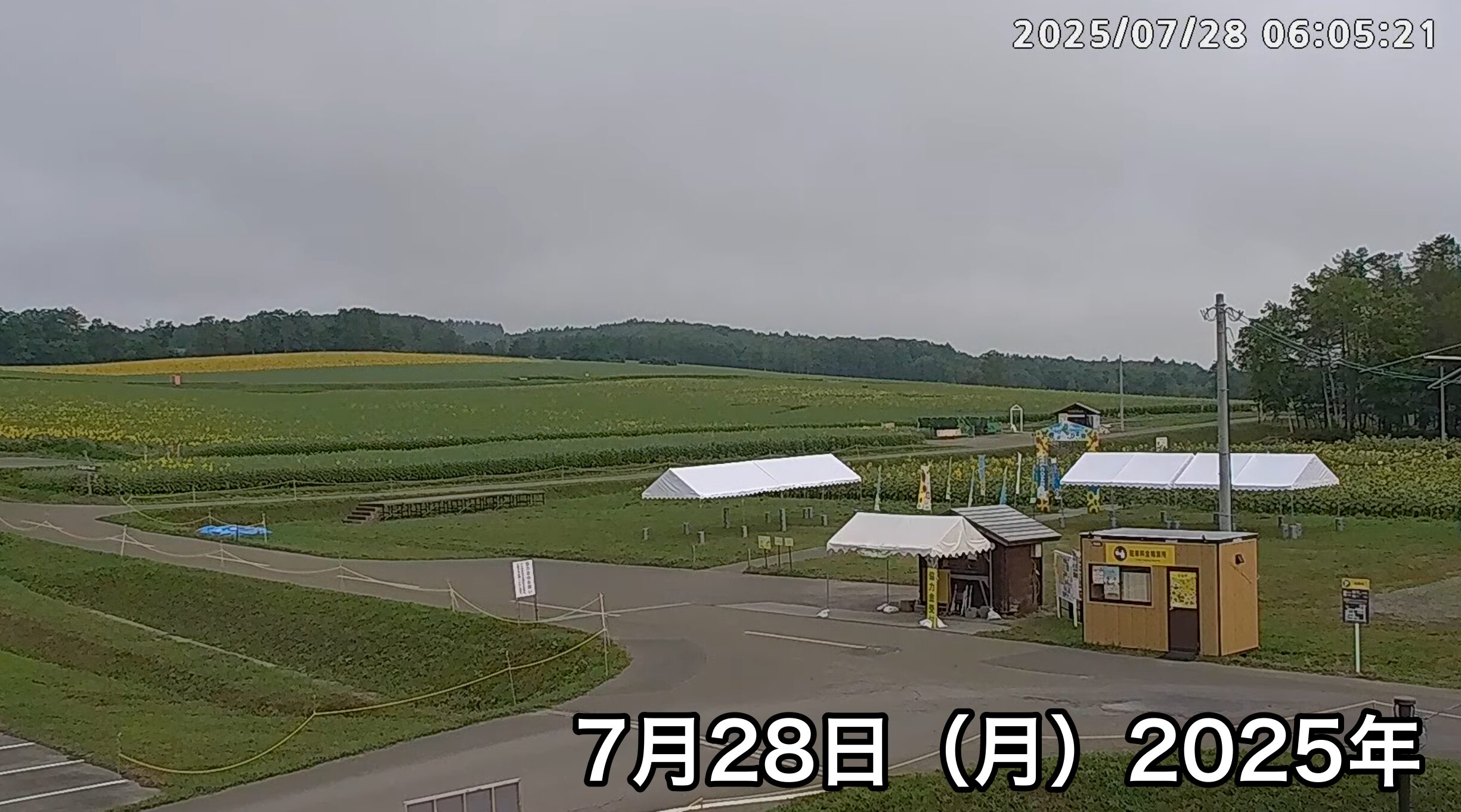 Live Streaming of Hokuryu-cho Sunflower Tourist Association