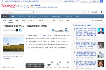 Ladang bunga matahari di Kota Hokuryu, Hokkaido [Wilayah] [JIJI.COM/Yahoo!News]