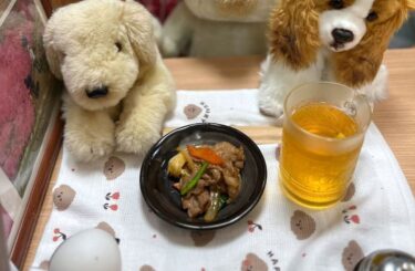 ☀️🌞 はみちゃんのおつまみ：野菜炒めとジャスミン茶割り。お店でも食べられます【Kitchen晴晴】