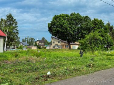 草刈りシーズン