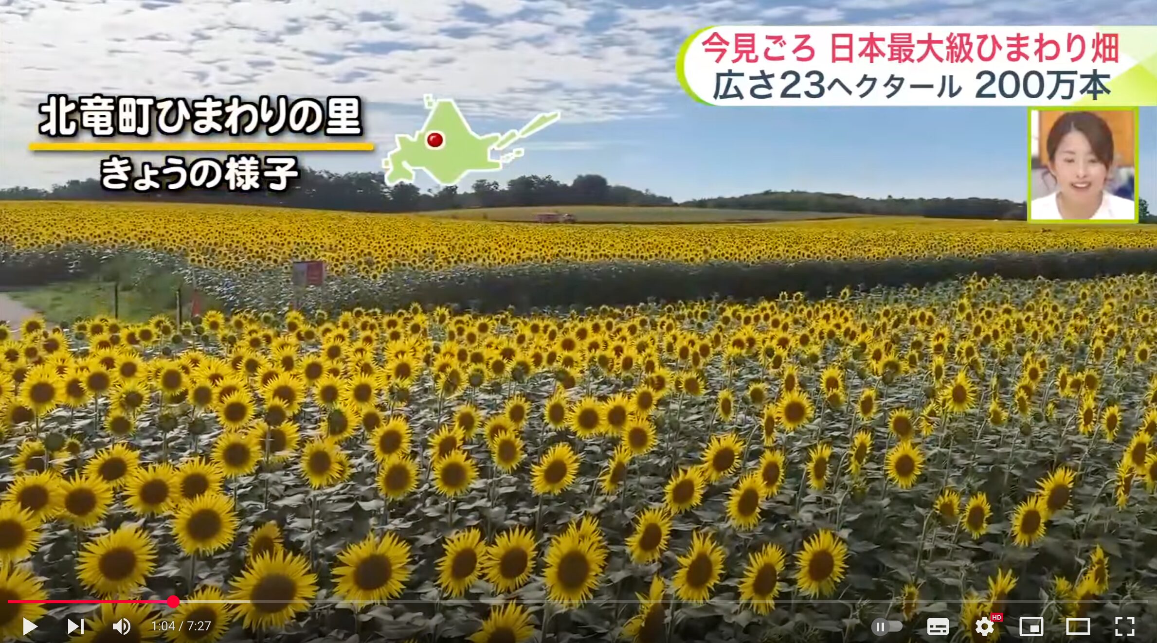 【日本最大級のひまわり畑】北竜町では約200万本の夏の花！「ひまわりまつり」が開催中…週末はにわか雨に注意【菅井さんの天気予報 1日(金)】【UHB 北海道文化放送】