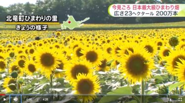 [Cuaca Hokkaido, Jumat, 1 Januari] Awan petir di akhir pekan... Badai petir di sisi Laut Okhotsk! Waspadai perubahan cuaca yang tiba-tiba saat pergi ke festival atau jalan-jalan [UHB Hokkaido Cultural Broadcasting]