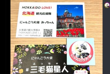 ☀️🌞 Đại sứ Mèo, Mèo Calico Alien (Micchan), đã đến thăm chúng tôi. Cảm ơn bạn rất nhiều. Tôi rất vui được gặp bạn. [Bếp Haruharu]