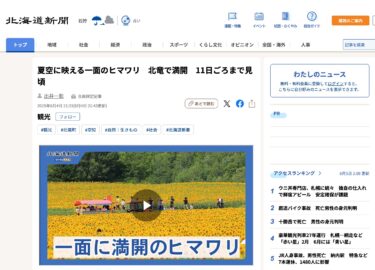 夏空に映える一面のヒマワリ　北竜で満開　11日ごろまで見頃【北海道新聞デジタル】