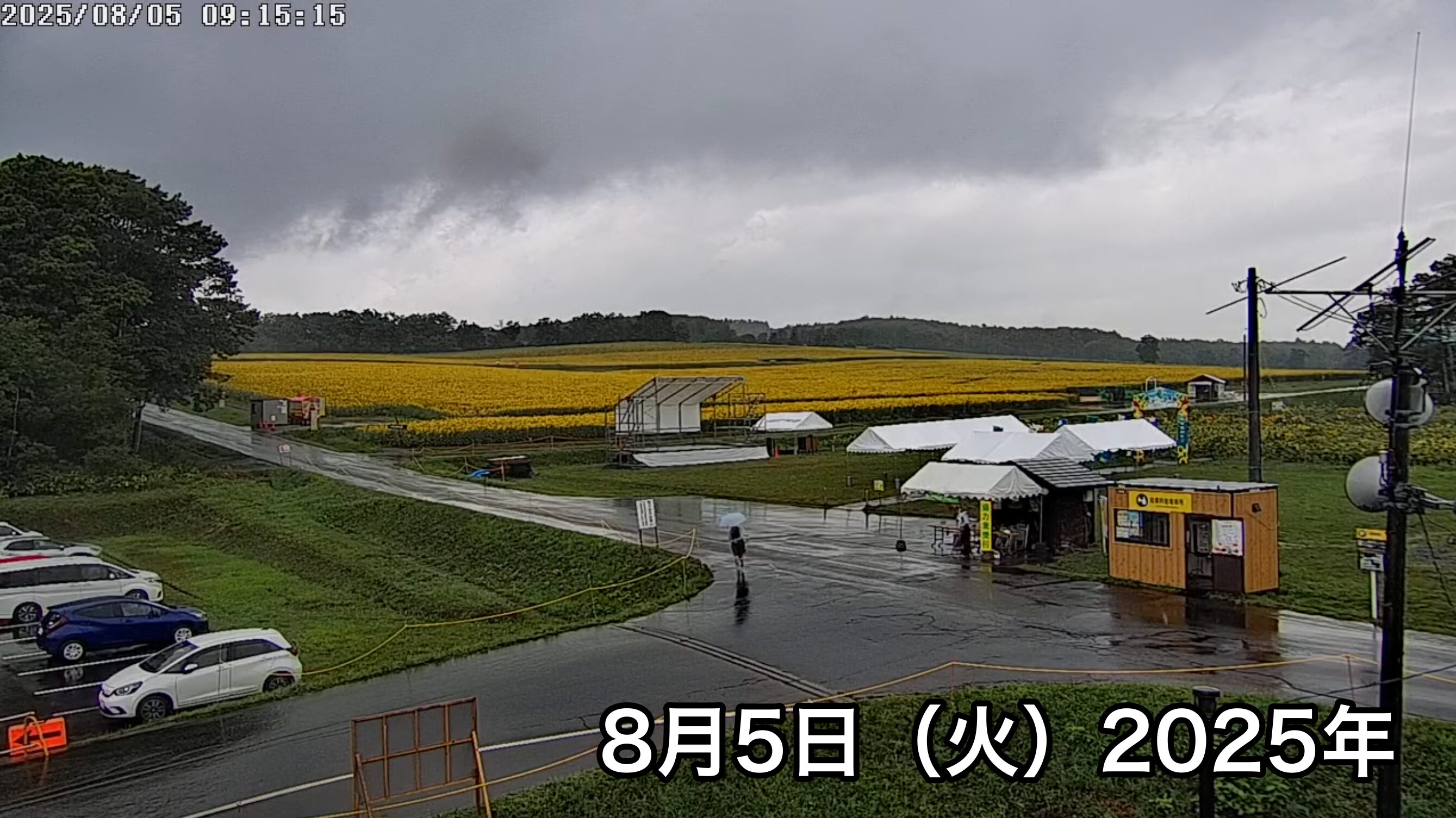 Live Streaming of Hokuryu-cho Sunflower Tourist Association