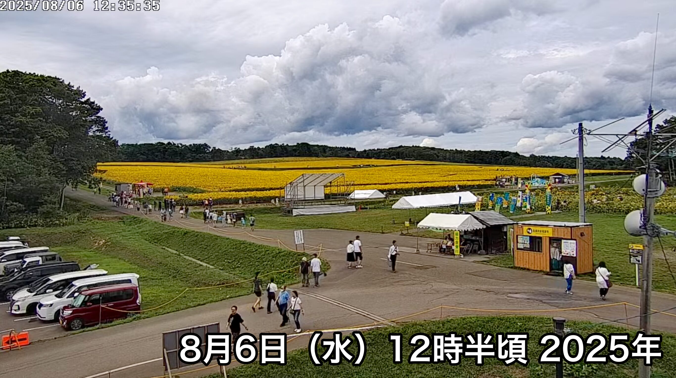 北流镇向日葵旅游协会的现场直播。