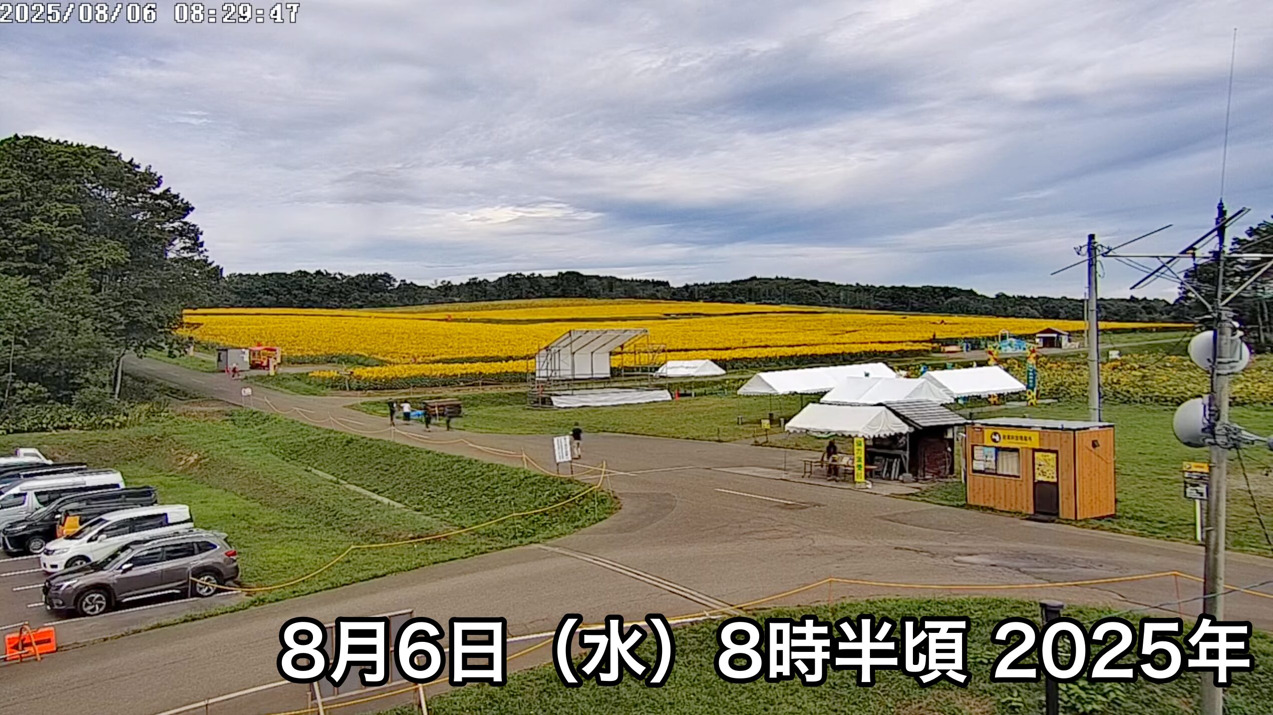 北竜町ひまわり観光協会 のライブ配信