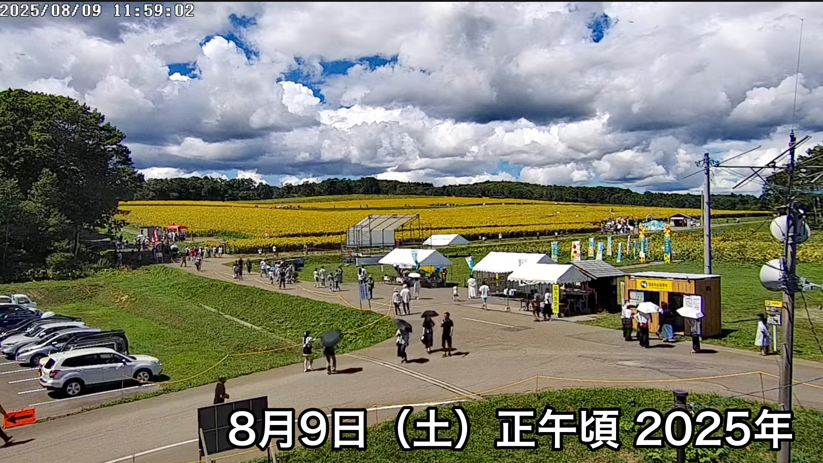 Live Streaming of Hokuryu-cho Sunflower Tourist Association