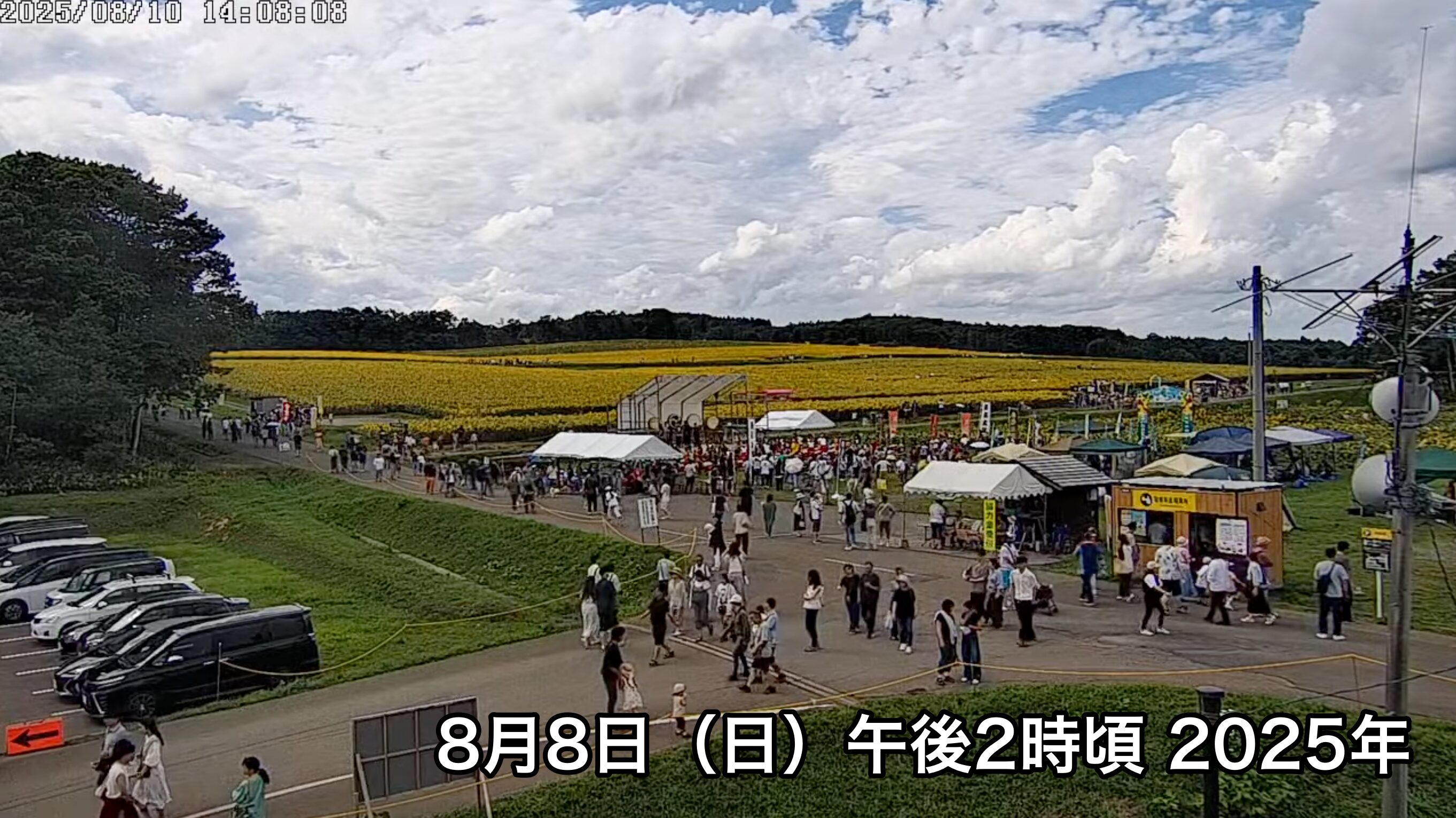 北竜町ひまわり観光協会 のライブ配信