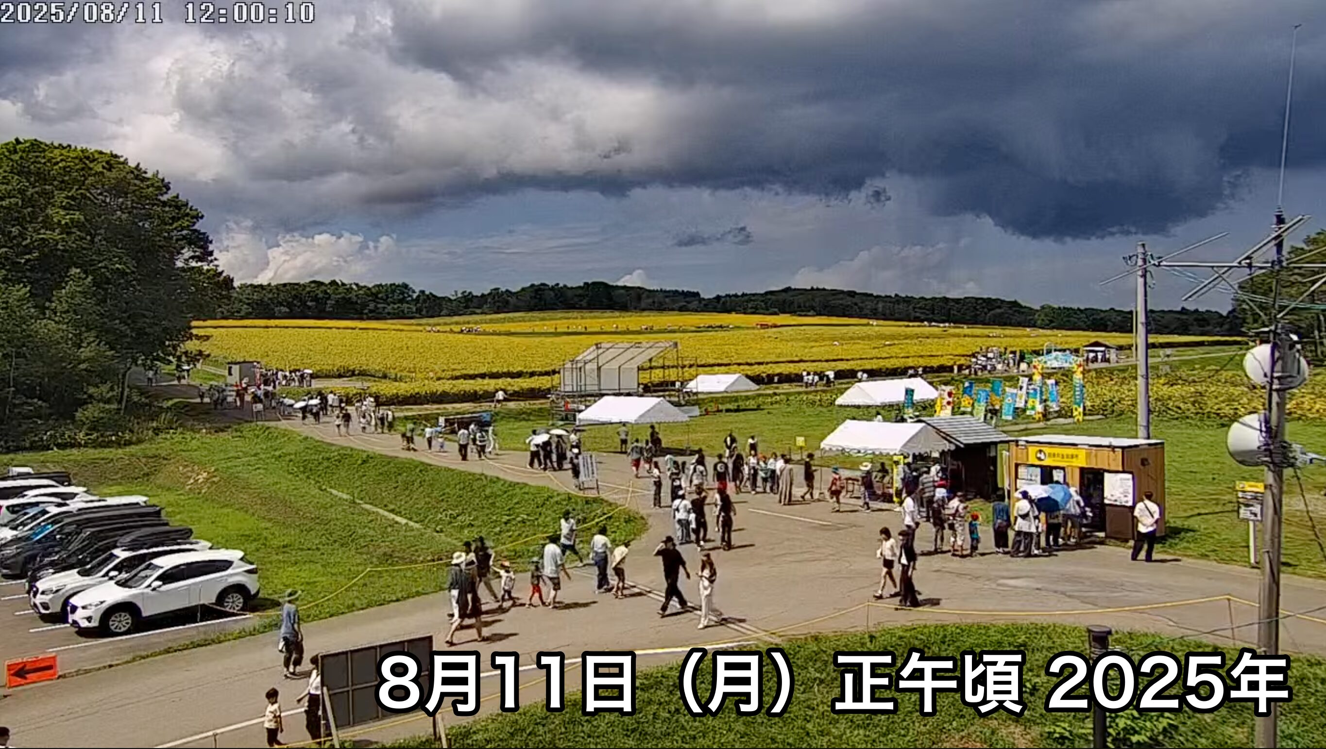 北竜町ひまわり観光協会 のライブ配信