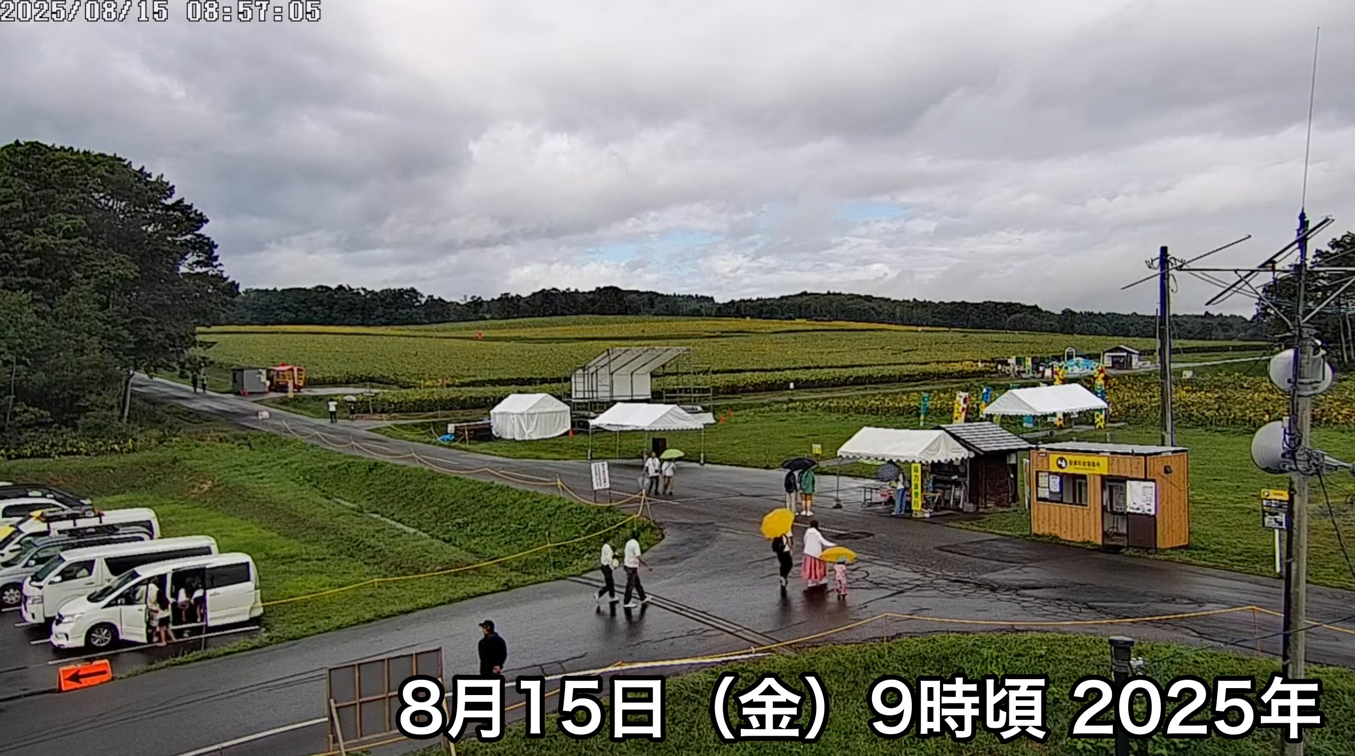 北竜町ひまわり観光協会 のライブ配信