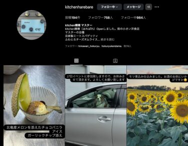 ☀️🌞 北竜産メロンを添えたチョコバニラアイス・ガーリックチップ添え【Kitchen晴晴】