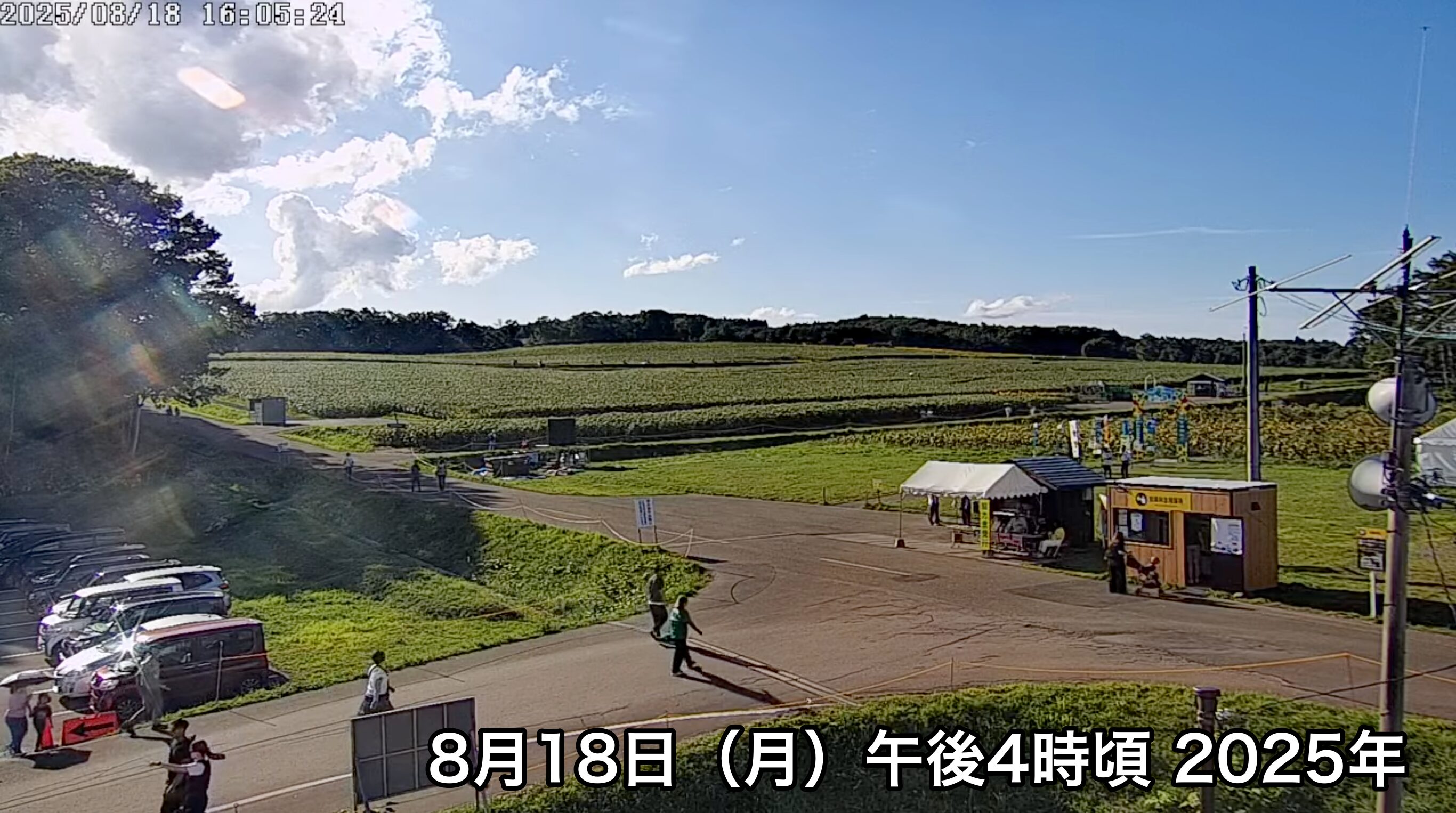 北竜町ひまわり観光協会 のライブ配信