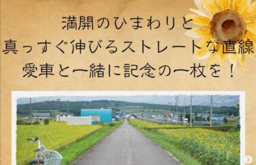 北竜町の隠れた人気スポット 「ひまわりロード」 をご紹介します！【北竜町ひまわり観光協会・酒井優斗】