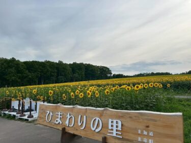 🌻 8月19日（火）ひまわりまつり無事終了しました！ 新発売の北竜マカロンにスイカスムージーが大人気でした！美味しいとの声を聞けて嬉しいです 🍉【お食事処向日葵】