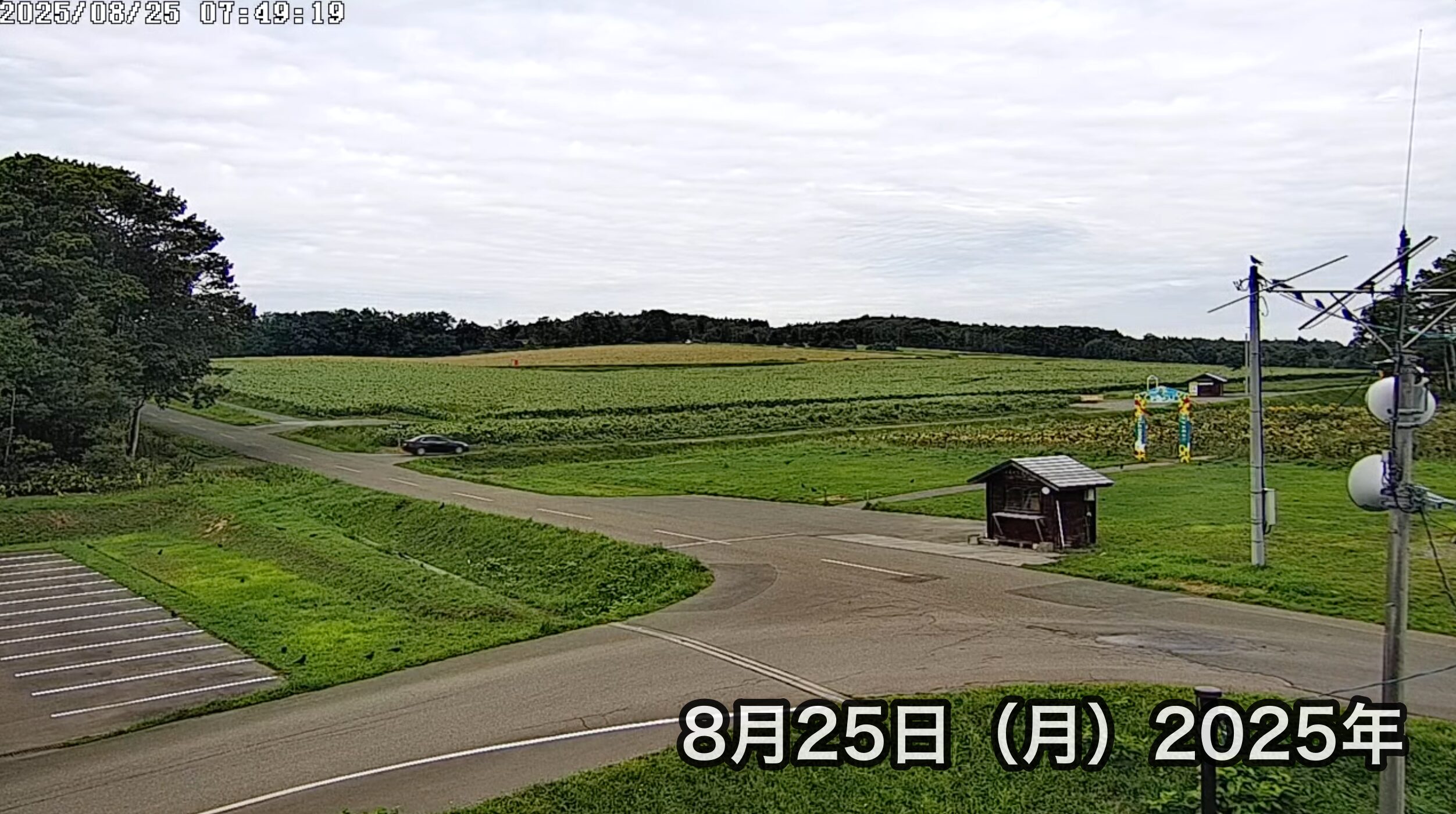 北流镇向日葵旅游协会的现场直播。