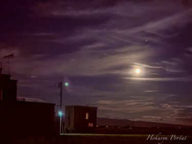 ライオンズゲート ＆ 満月の生命エネルギー溢れる瞬間に感謝を込めて！