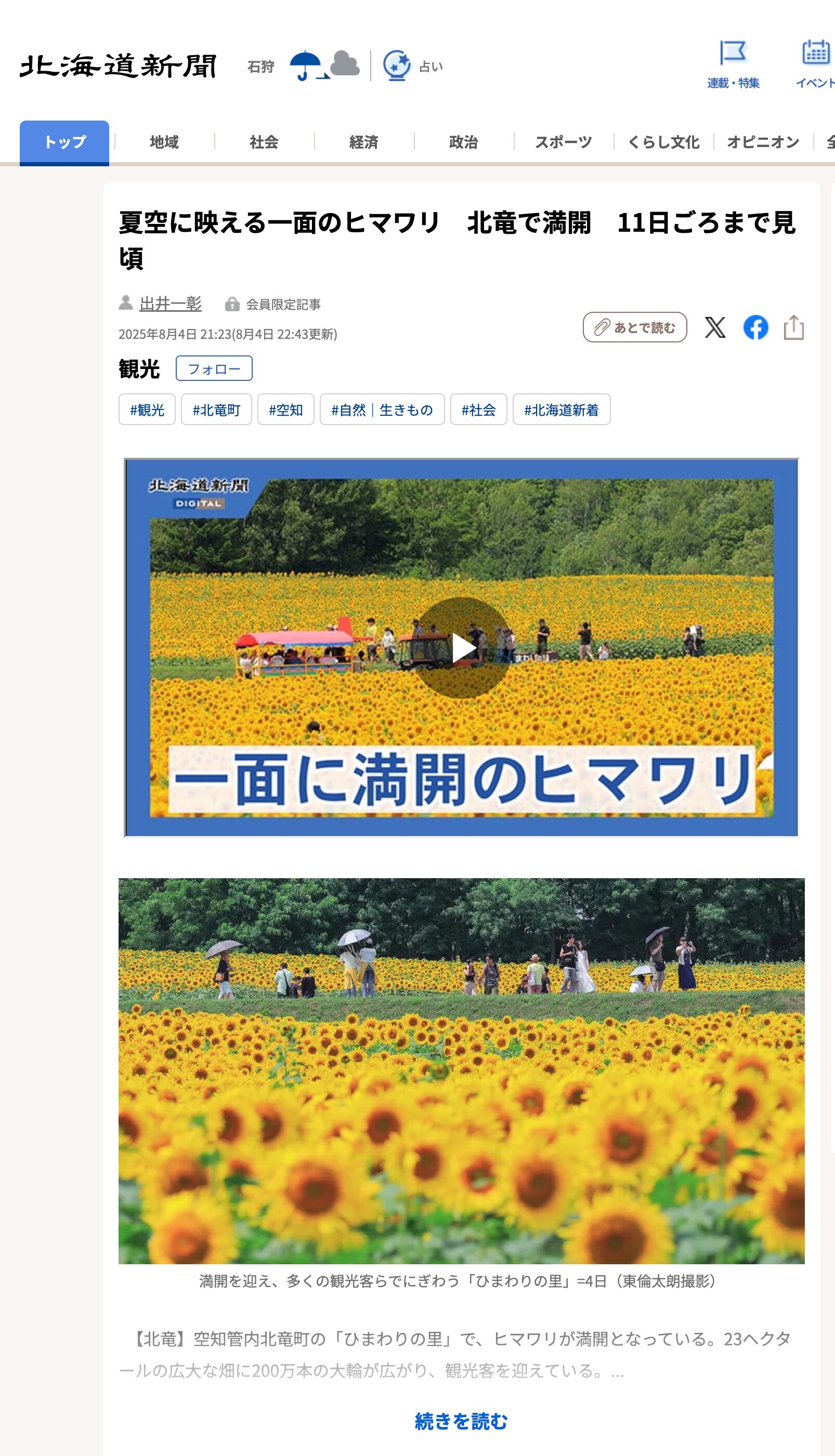 夏空に映える一面のヒマワリ　北竜で満開　11日ごろまで見頃【北海道新聞デジタル】"