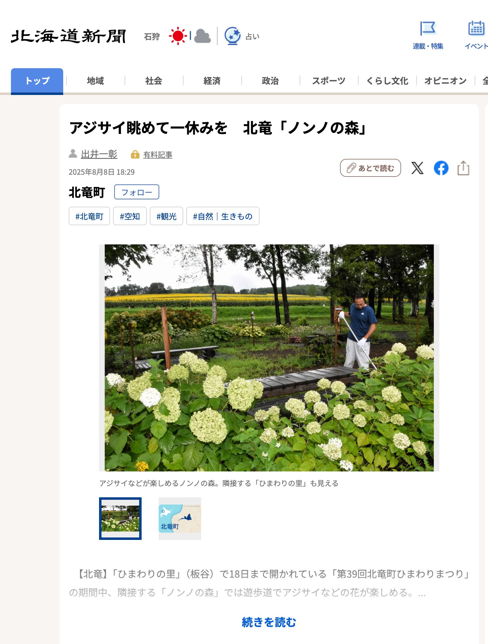 アジサイ眺めて一休みを　北竜「ノンノの森」【北海道新聞デジタル】