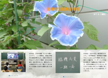 9月2日（火）2年生国語「どうぶつ園のじゅうい」～この時間は、真竜小学校初の遠隔学習でした。沼田小学校の２年生とオンラインで繋げ、あちらの授業を一緒に受けました【真竜小学校】