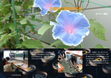 9月4日（木）5年外国語～ペアを組んで例文に沿って英会話を行います。発音の仕方に気を付けて、スムーズに会話をすることができるかな【真竜小学校】