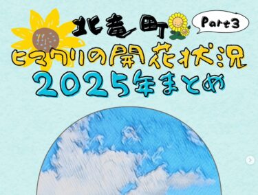 हम सूरजमुखी के खिलने की स्थिति पर एक नज़र डालेंगे! भाग 3 में 5 अगस्त से 12 अगस्त तक की अवधि शामिल होगी। 🌻 [युतो साकाई, होकुर्यु टाउन सूरजमुखी पर्यटन संघ]