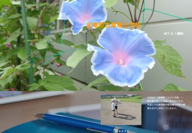 9月5日（金）3年理科「かげと太陽」～教科書を使って地面に影を作ります。太陽との位置関係や教科書の角度の感覚を自ずと体得していきます【真竜小学校】