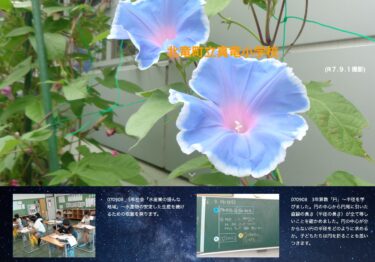 9月8日（月）5年社会「水産業の盛んな地域」～水産物の安定した生産を続けるための取組を探ります【真竜小学校】