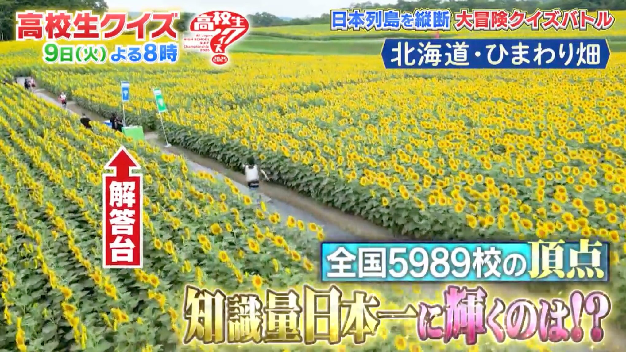 第45回高校生クイズ直前予習SP【TVer】