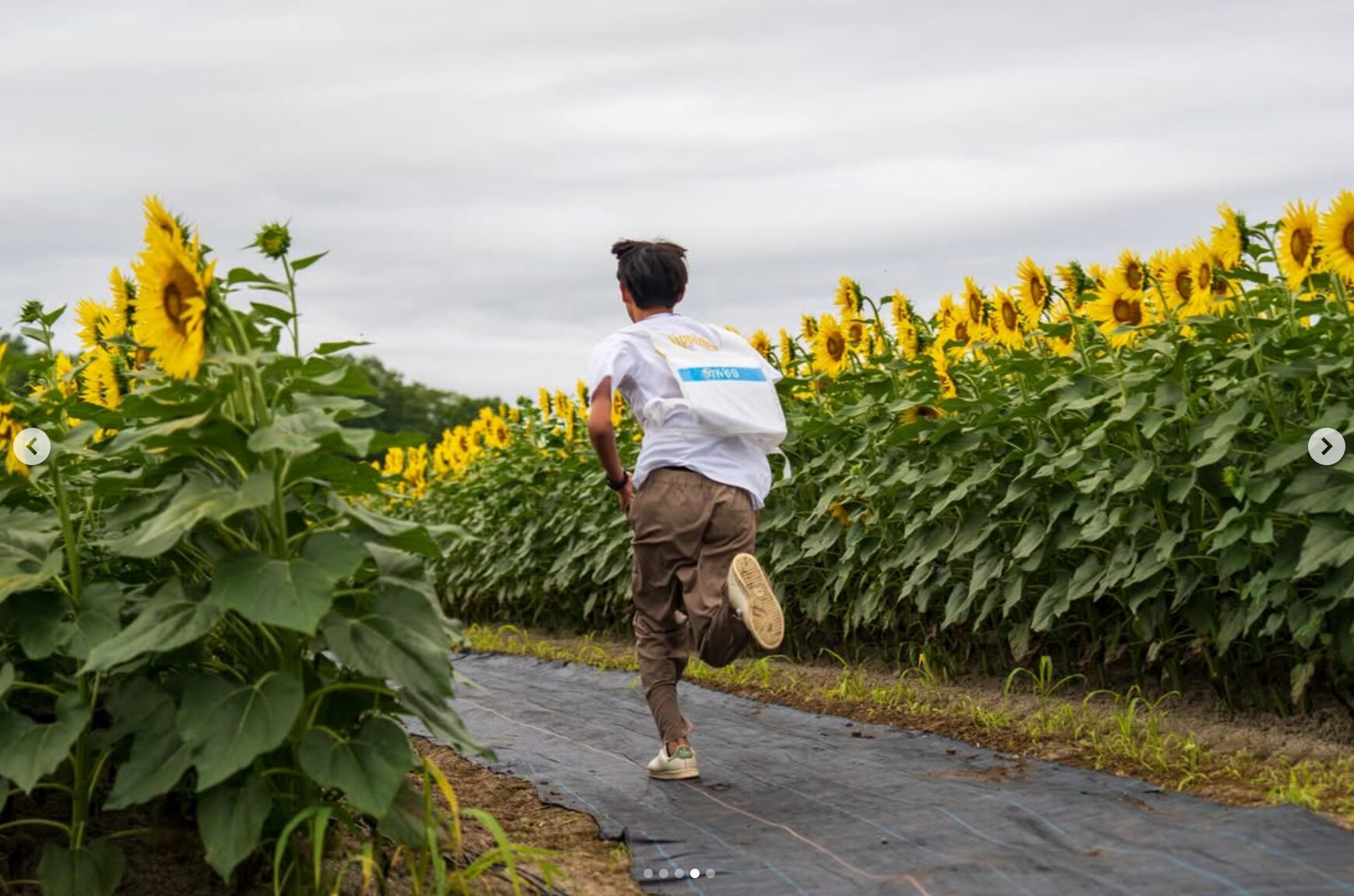 【北竜町ひまわりの里 登場！】#高校生クイズ 2025・9月9日(火)よる8時〜3時間 SP 🌟【日テレ】