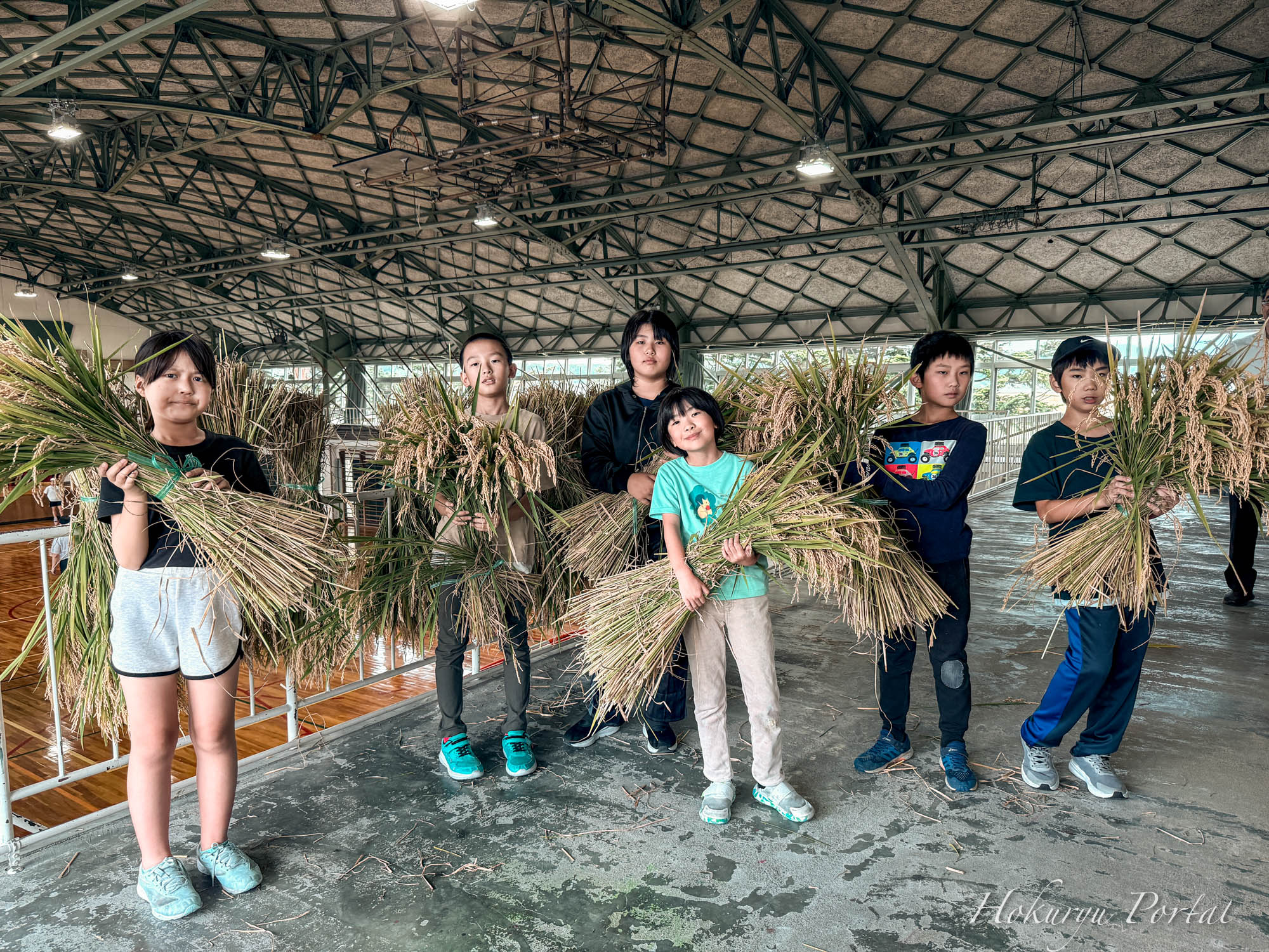 真竜小学校５年生「稲作体験・稲刈り」黄金色の感動体験！伝統の稲刈りに挑戦！