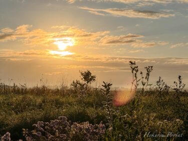 心和む瞬間「北竜町の新月の朝日、澄んだ空気に輝く光」