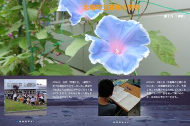 10月9日（木）全校「花壇片付」～縦割り班で花壇の片付けをしました。高学年のお兄さんお姉さんが中心になって進めていきます。あんなにあった花もきれいになりました【真竜小学校】