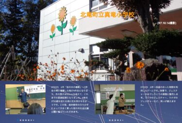 10月28日（火）・29日（水）6年「桜の木の植樹」～3年生の時に播種した桜が4年目になります。木の高さは165cmを超えて、これまでの最高記録になりました【真竜小学校】