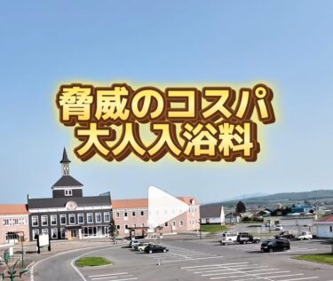 サンフラワーパーク北竜温泉の魅力をご紹介 ♨️ こんなに充実の内容で、なんと大人入浴料が ＼500円／ の圧倒的コスパ👀✨(小学生は250円)【サンフラワーパーク北竜温泉】