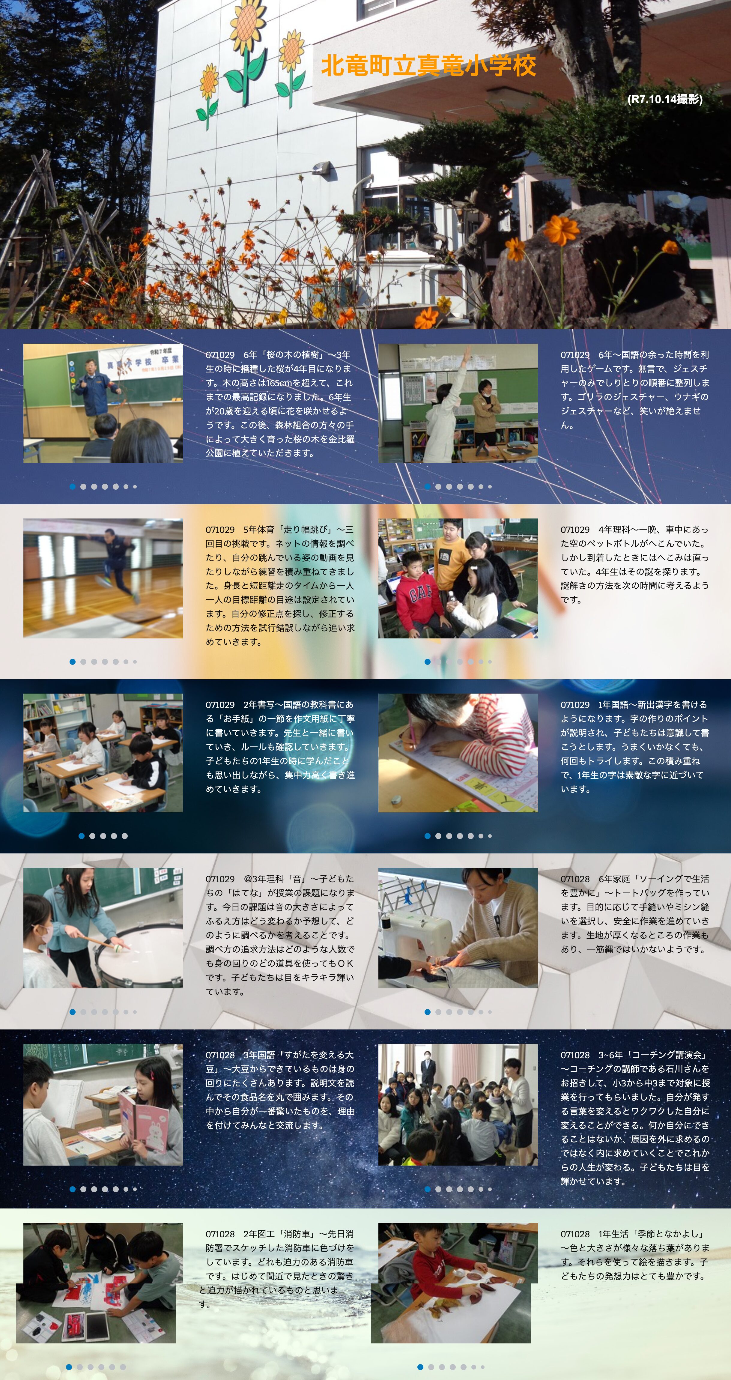 10月28日（火）・29日（水）6年「桜の木の植樹」～3年生の時に播種した桜が4年目になります。木の高さは165cmを超えて、これまでの最高記録になりました【真竜小学校】