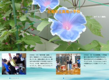 9月30日（火）５年「稲作体験（脱穀）～本日、稲架掛けしていた稲をJA北竜に持っていき、脱穀＆精米しました。精米する前の草取りが手作業で大変そうでした【真竜小学校】