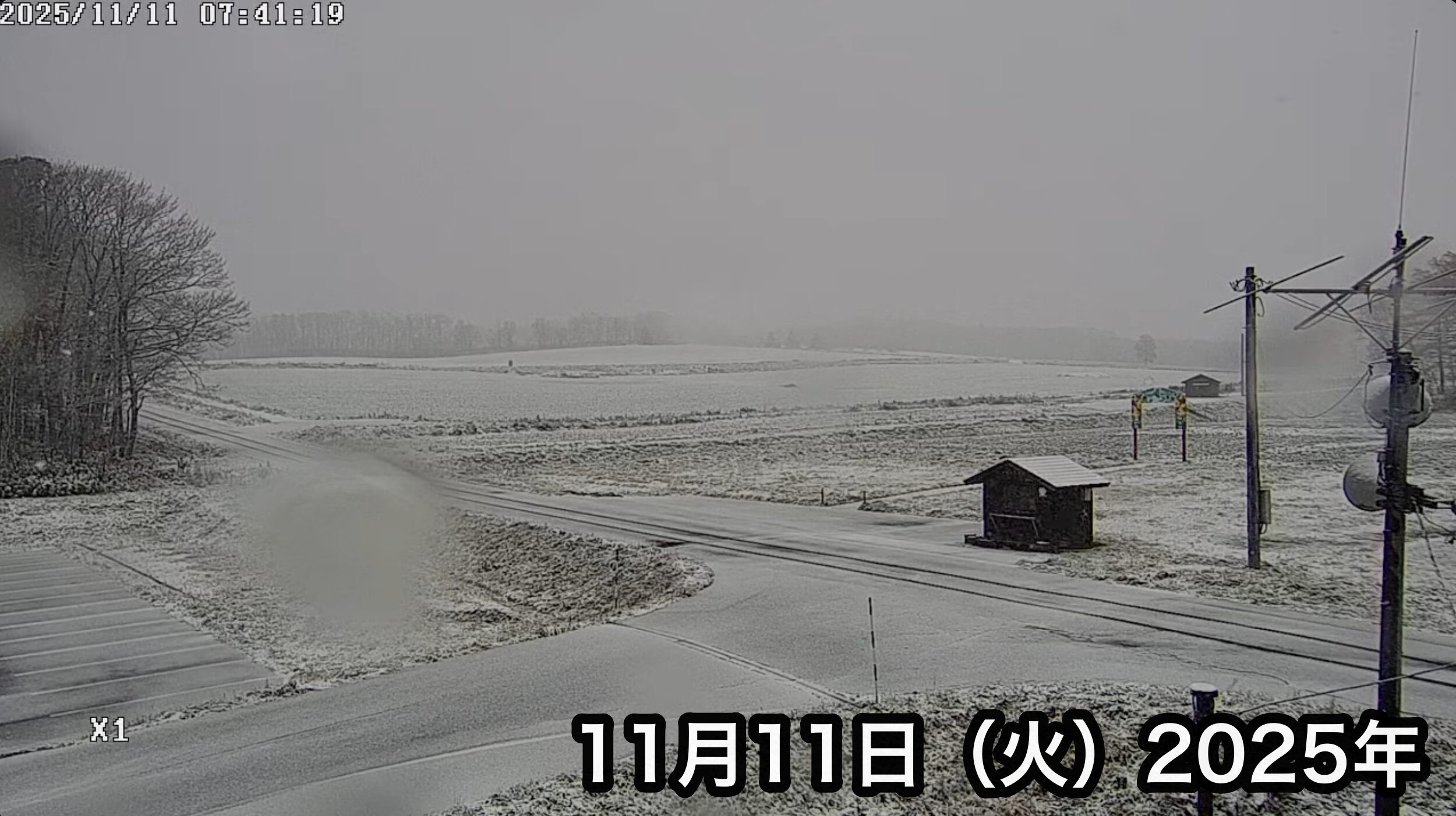 北流镇向日葵旅游协会的现场直播。